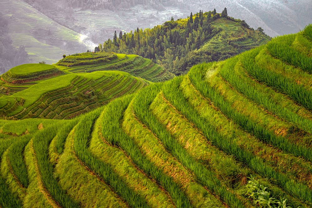 Dia-Vortrag China