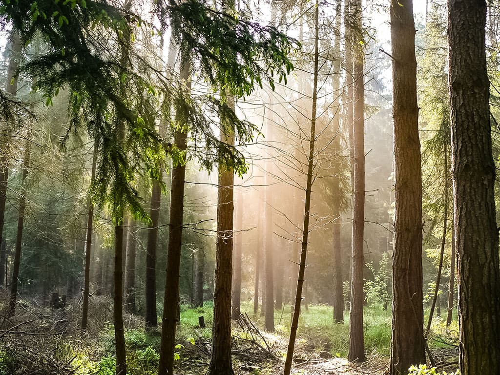 Der Zeitzgrund